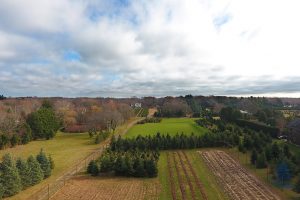 The Great Lawn Venue