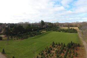 The Great Lawn Venue