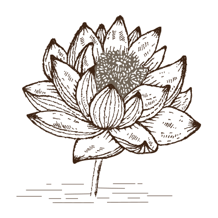 Lotus logo unique wedding venue